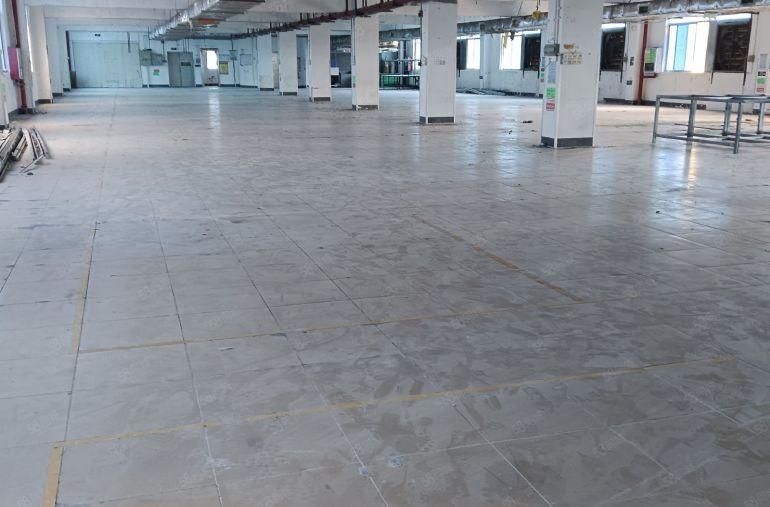 西乡鹤洲洲石路附近大型园区中间楼层1918平！