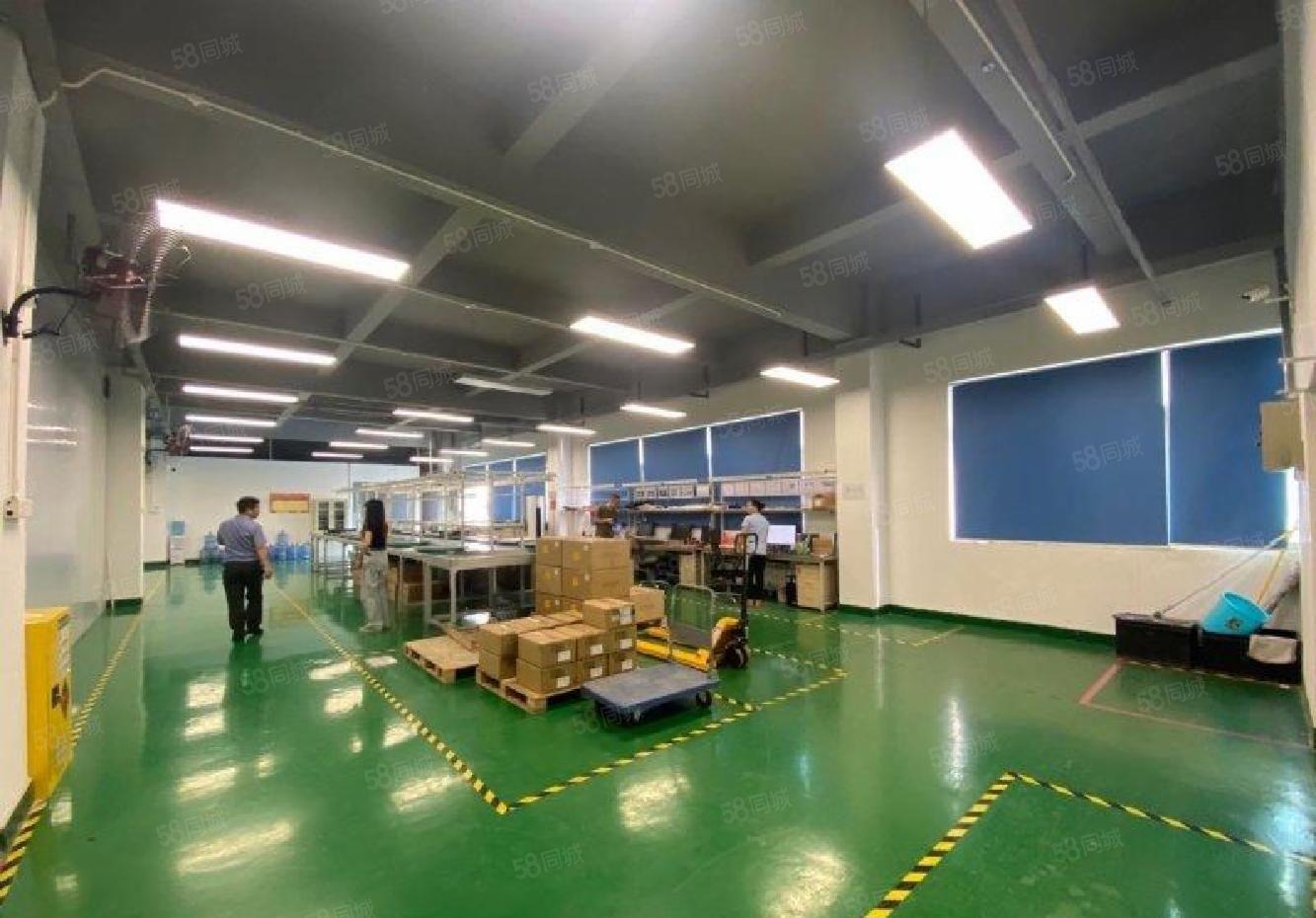 福永附近1000平方原房东精装修仓库红本厂房出租可分租