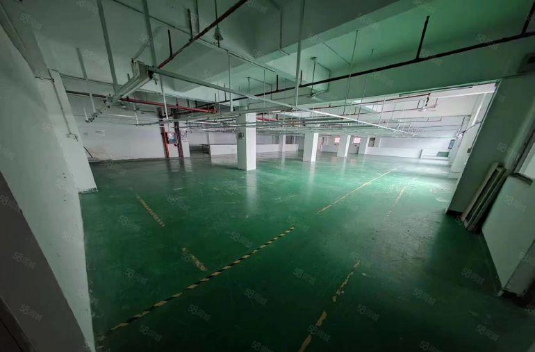 D9 133 1658 1753厂房招租，可分租，设施齐全