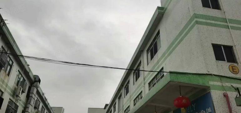 松岗中学独院厂房出租6150平注塑厂带行车800平起分电可过