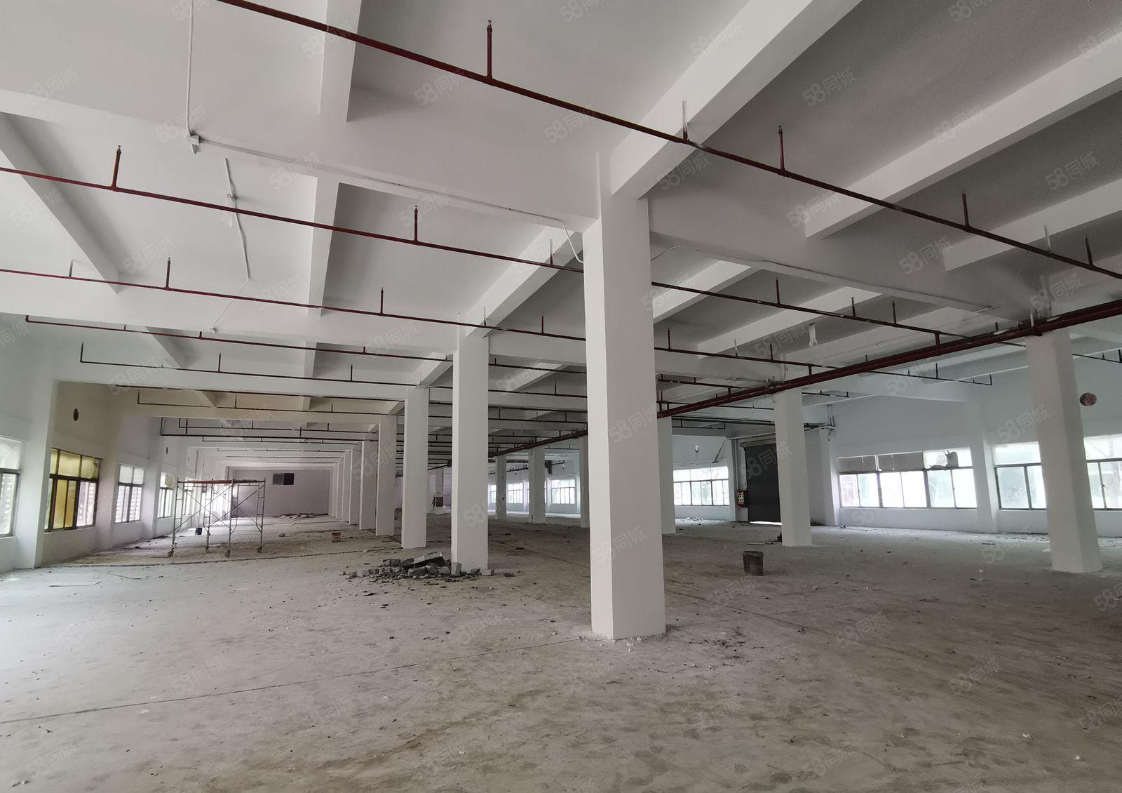 福永桥头1000平 15000平独门独院精装修原房东工业厂房