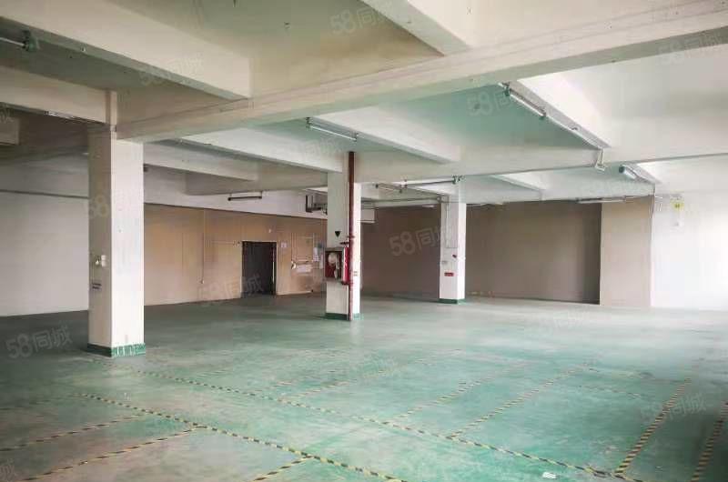 宝安西乡九围大型园区钢结构300到2000平招租面积大小可分