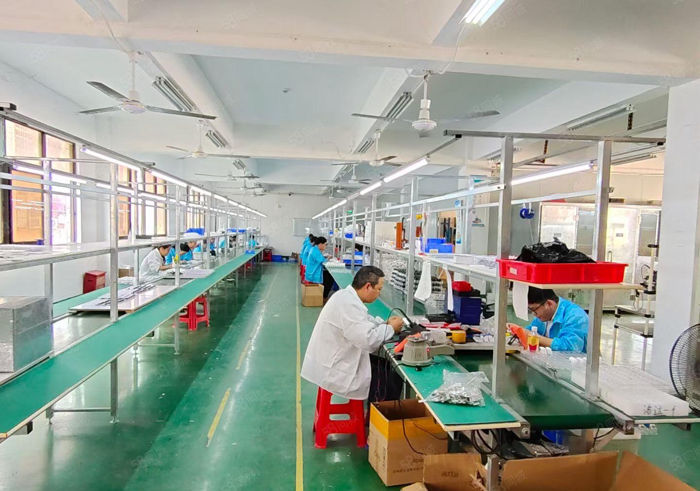 西乡洲石路，九围，鹤洲，大型工业区，精装修1300平厂房出租