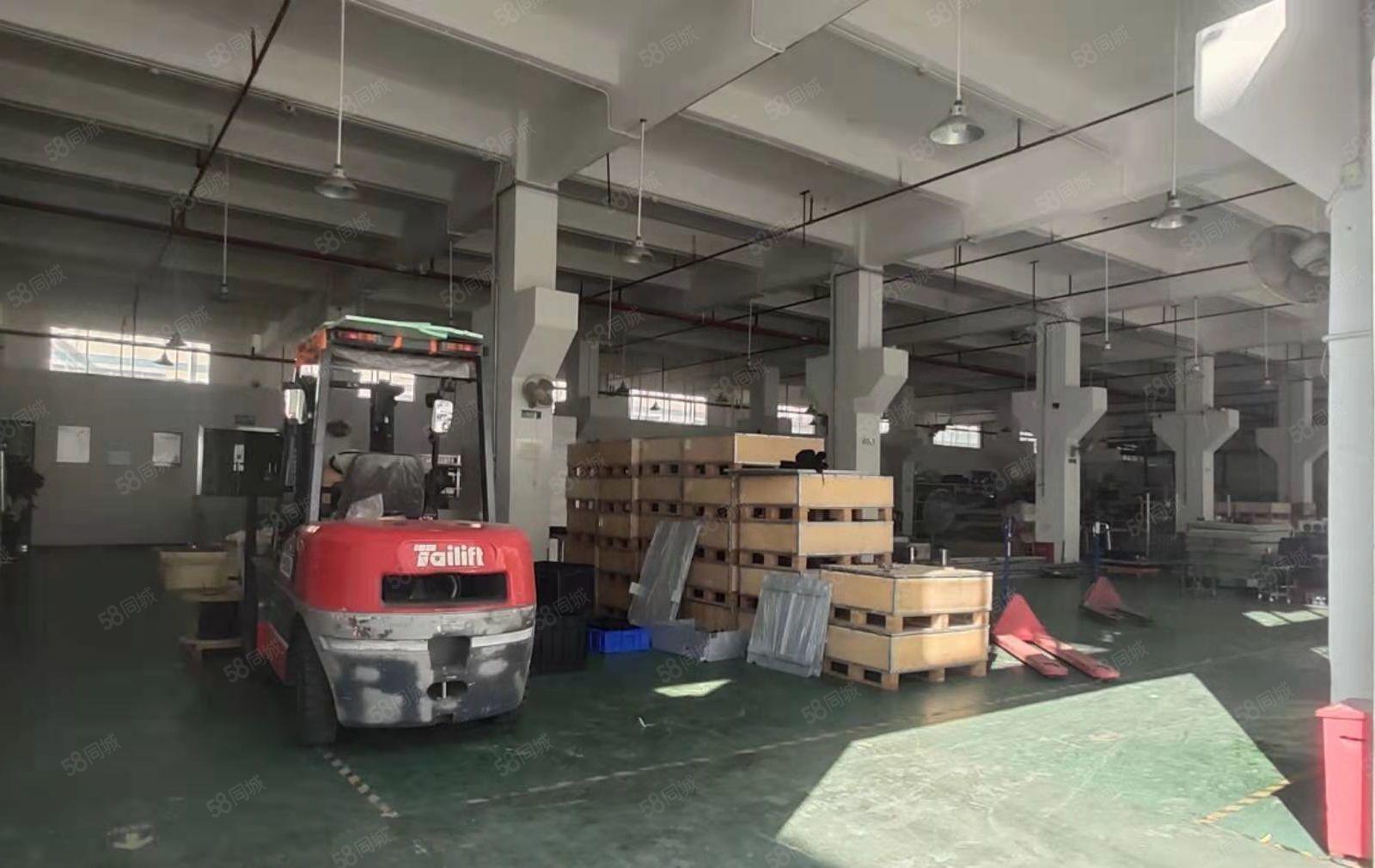 松岗大田洋一楼3000平，高度5.8米，带牛角，电200，