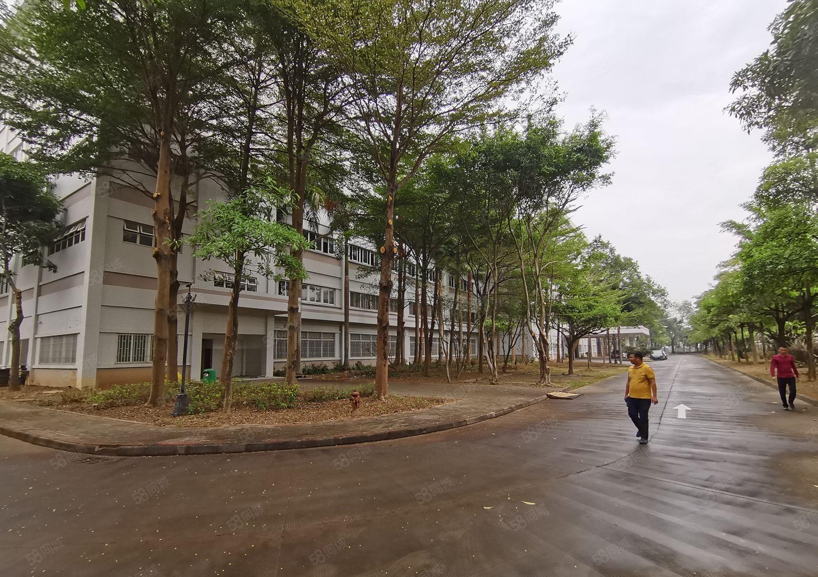 原房东，不限电石岩3000平红本厂房仓库 物流仓库大小分租。