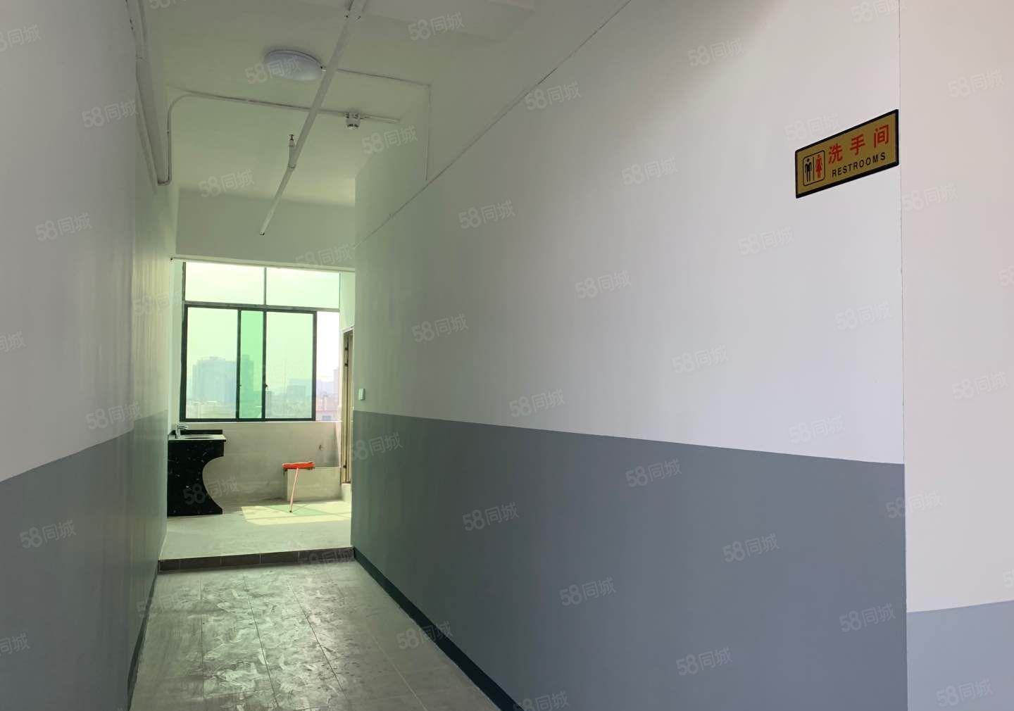 后亭全新装修厂房大小可分租