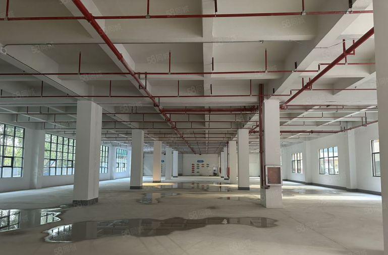 合同10年西乡宝田原房东独门独院6000平仓库厂房出租可分租