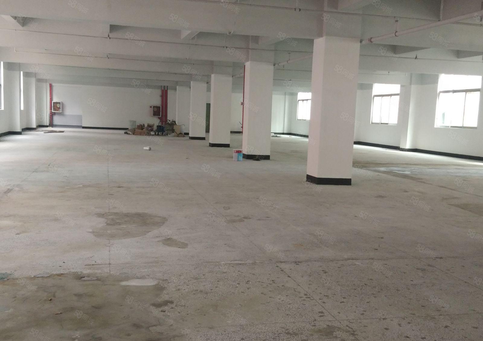 固戌地铁口独门独院整栋4556平，可单租一层1139平