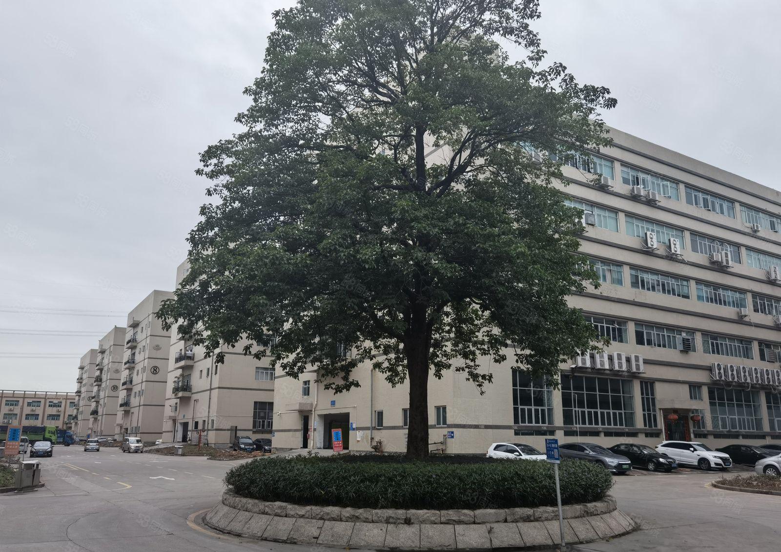 沙井共和恒明珠工业园5200平方厂房出租500平方起分租