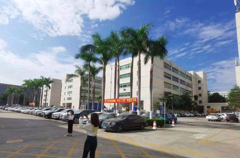 20元松岗燕川原房东1000平厂房出租仓库物流200平起可分