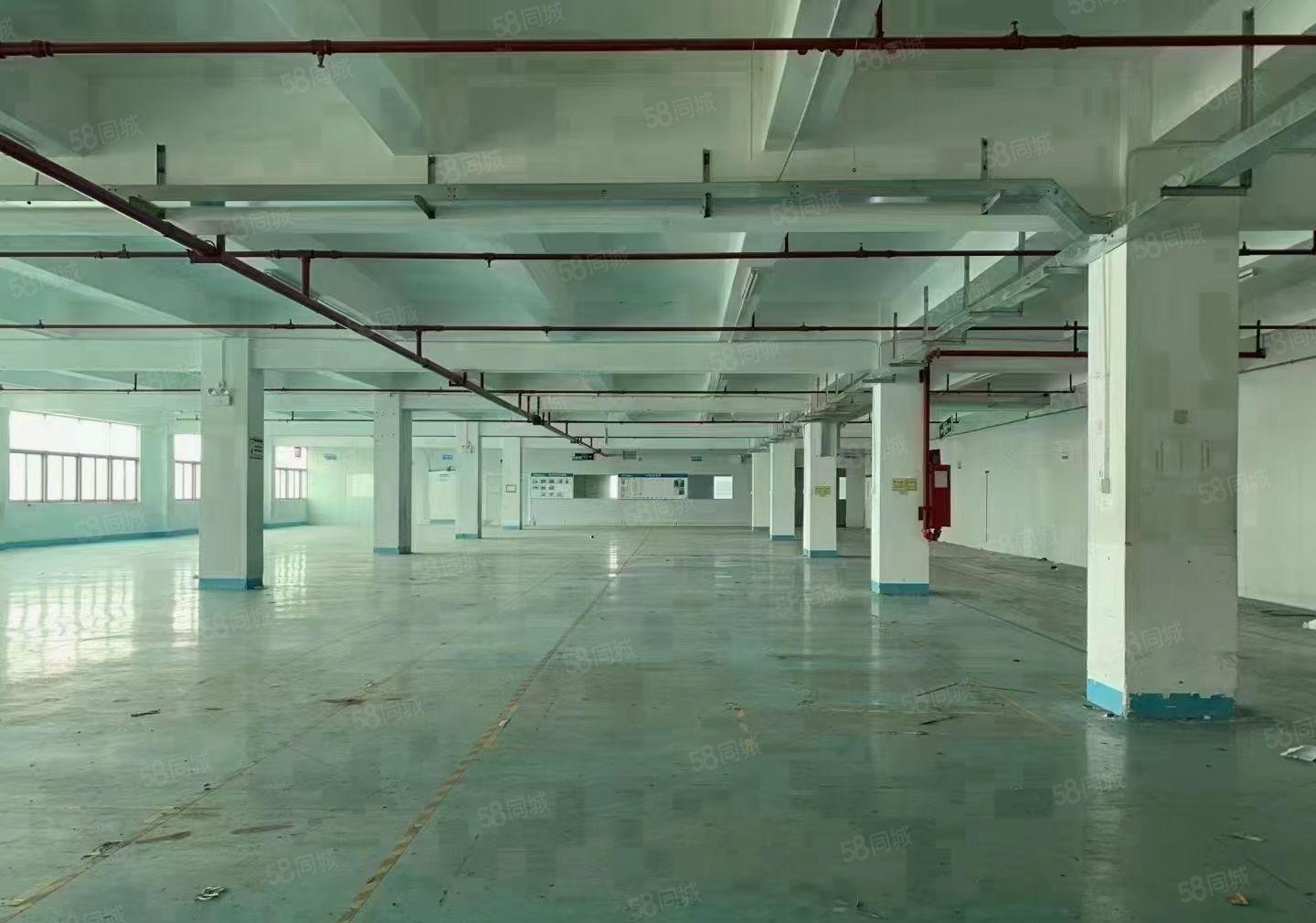 福永107国道原房东独院8000平米厂房出租分租仓库电商办公