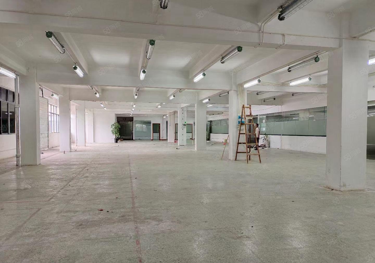 107旁55平至1260平任意分租厂房仓库（可临时仓库）