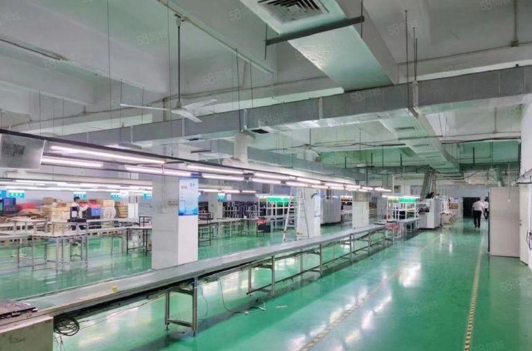 500起租西乡固戍工业园独栋6000平仓库厂房出租可分租