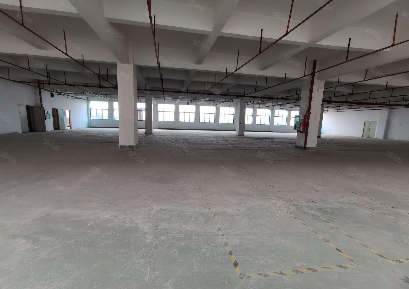 宝安黄田大型高新区1800平米厂房 半层带消防喷淋