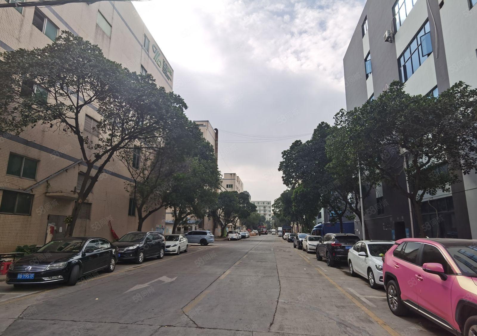 福永桥头地铁站厂房出租1000平方红本一楼仓库带环评厂房分租