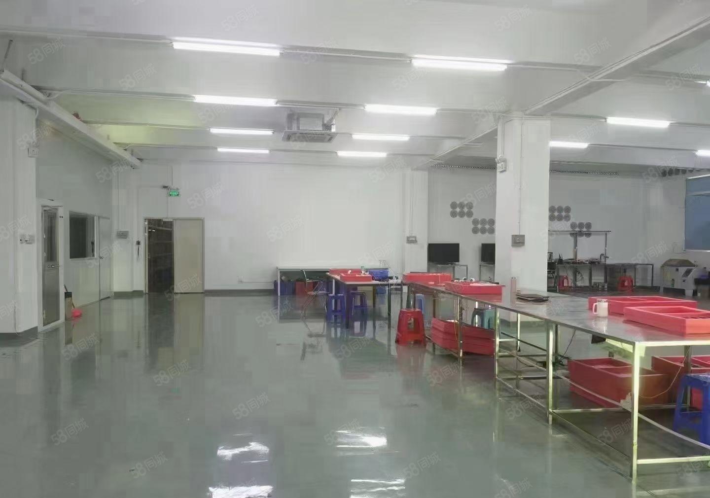 松岗大田洋独门独院精装修6000平大小可分组