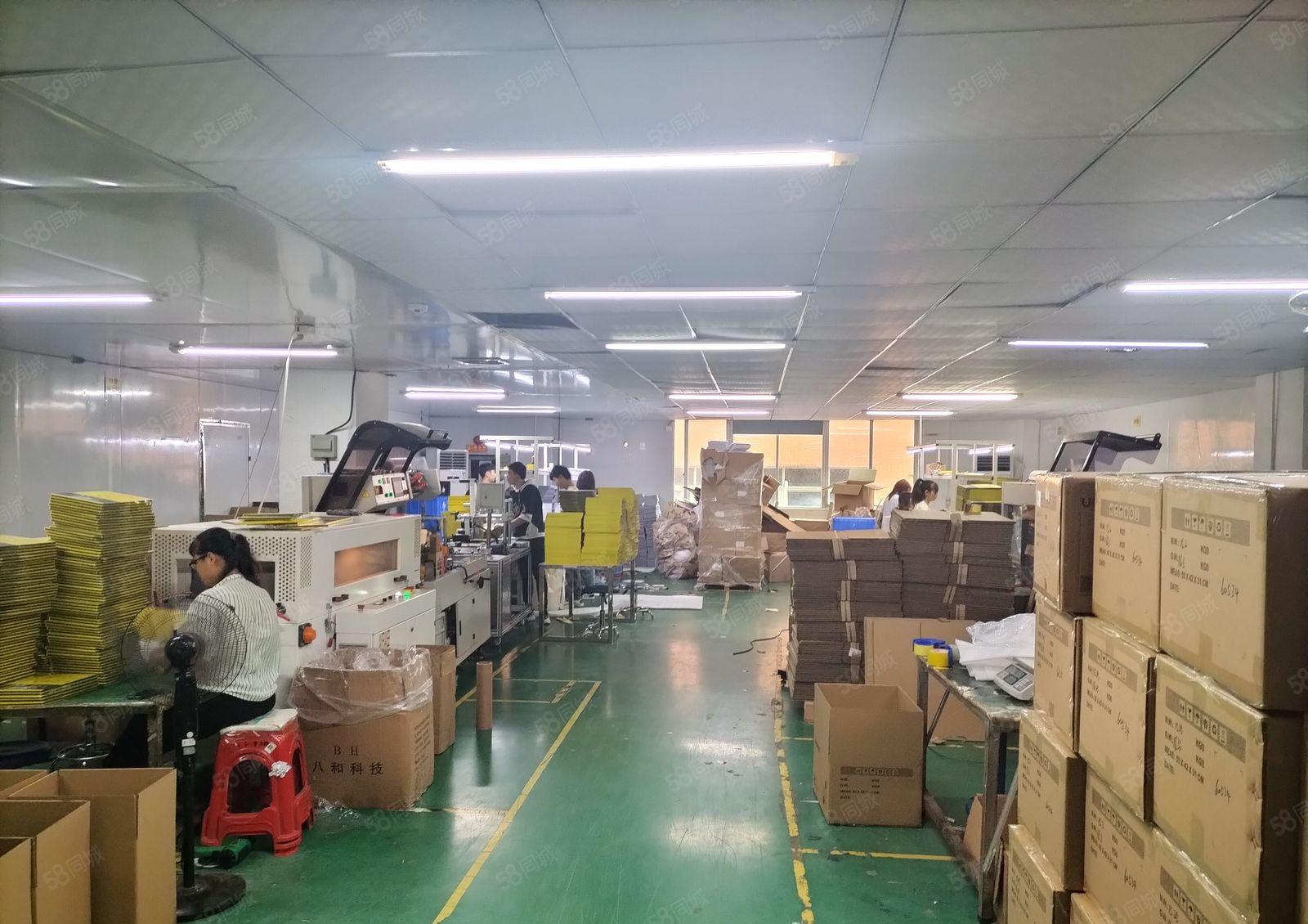 年底特价房西乡3800平方原房东精装修级无尘车间厂房出租