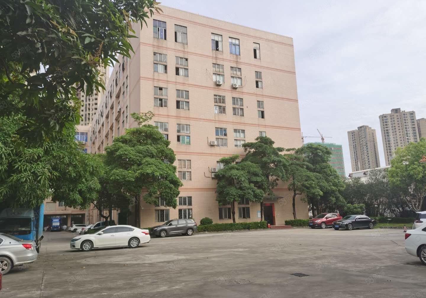 松岗新出1000平至5000平方一二楼厂房仓库独院大小可分租