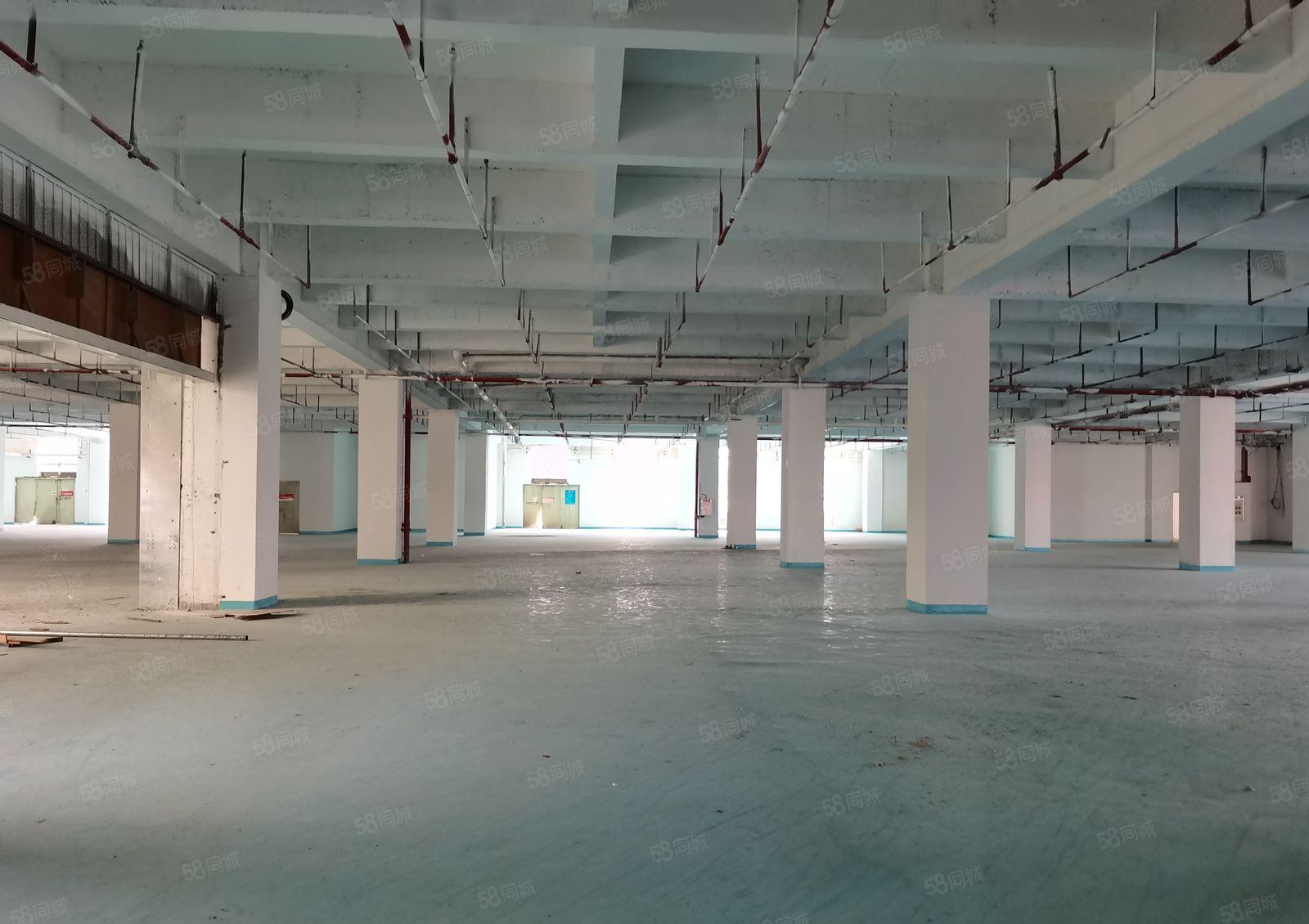 沙井后亭地铁站4000平方独门独院原房东红本工业厂房出租