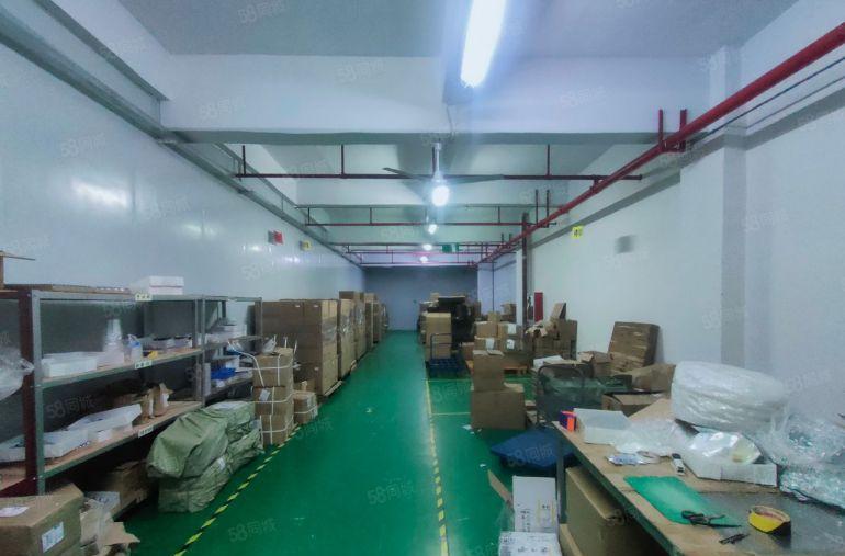 松岗塘下涌附近大型园区二楼800平带装修厂房出租，原房东直租