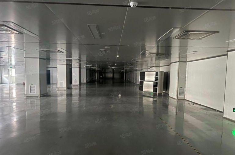 西乡原房东空地大红本独院厂房11000平无尘车间仓库出租