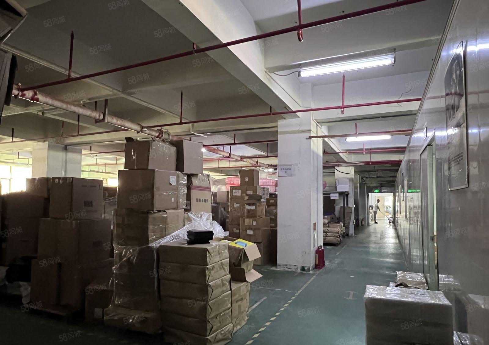 西乡簕竹角 整层1700平米 精装修 带办公室 消防喷淋