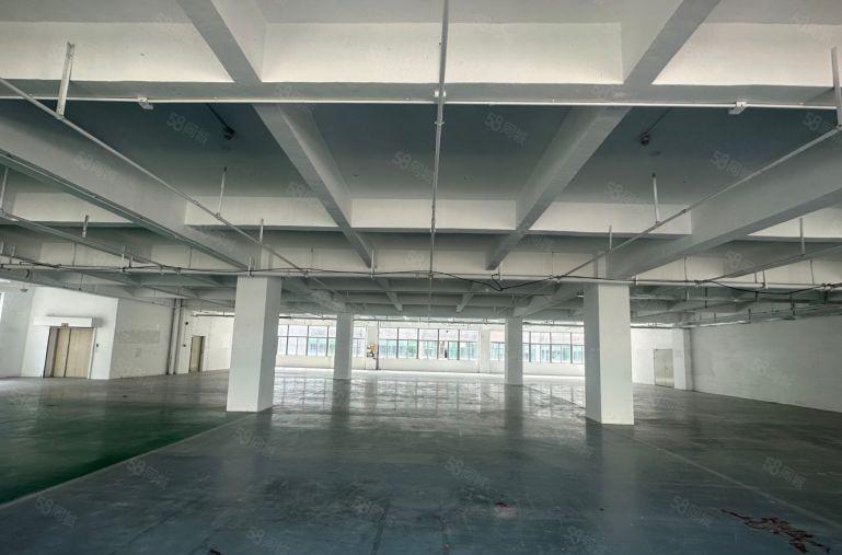 石岩一楼厂房出租内空400至1000平出租带装修工业园原房东