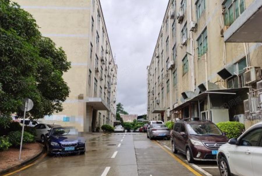 石岩水田500平原房东厂房出租，高速口附近易招工空地大形象好