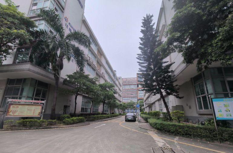 沙井马安山原房东带红本200平起带装修适合电商贸易科技公司