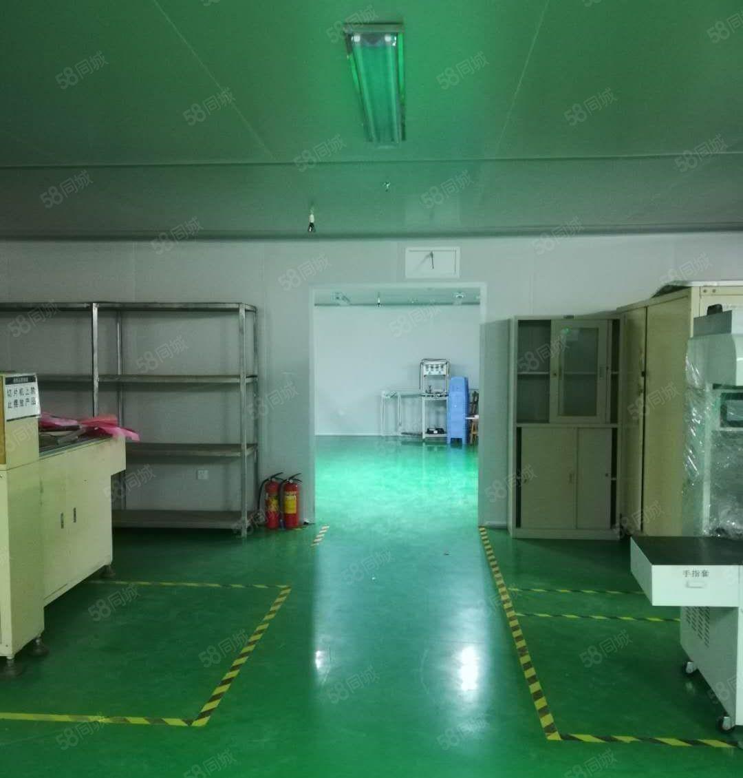 松岗罗田象山大道原房东红本厂房一楼1550平方