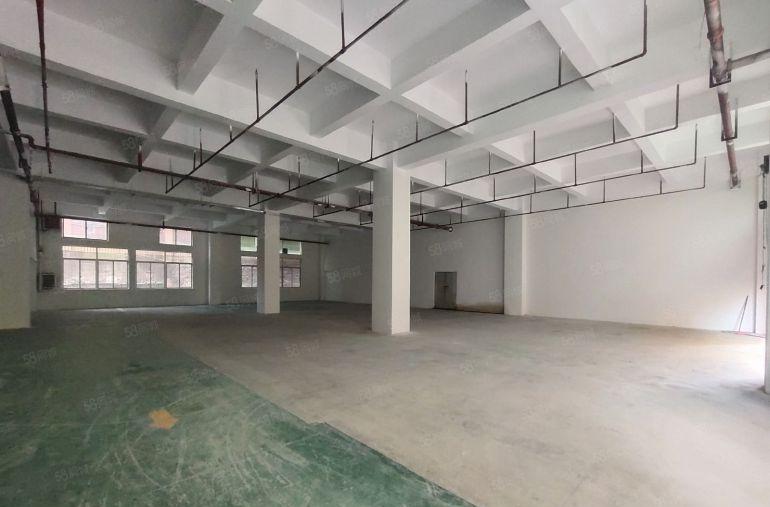 特价36元，西乡九围簕竹角，一楼带装修765平厂房，层高6米