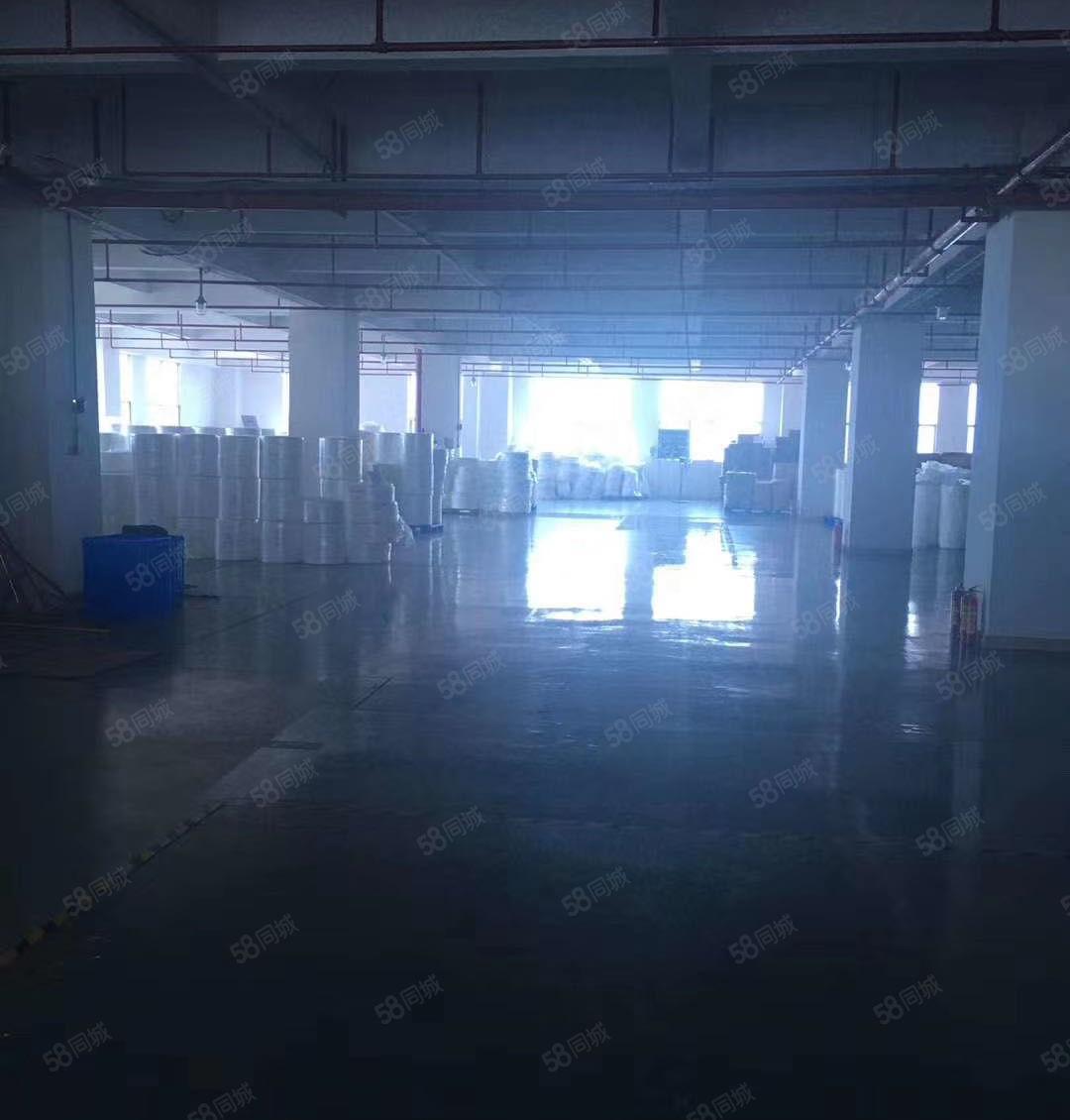 ！光明田寮南光高速出口独院3层6000平厂房出租精装无转让费