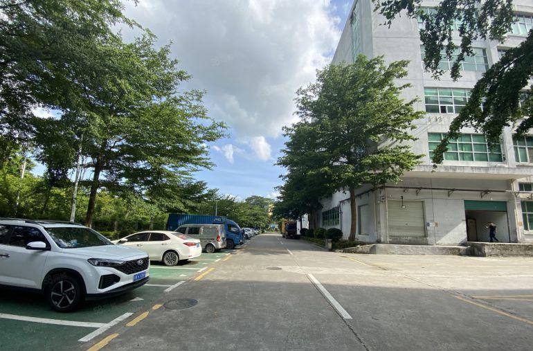 可分租低至22元村委直租石岩新出500平精装办公仓库厂房出租