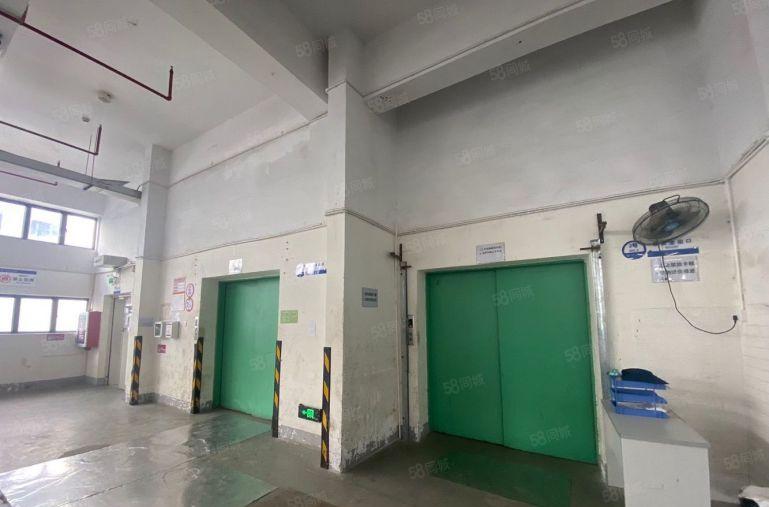 沙井洪田工业区3万平方大型红本厂房出租100起分租