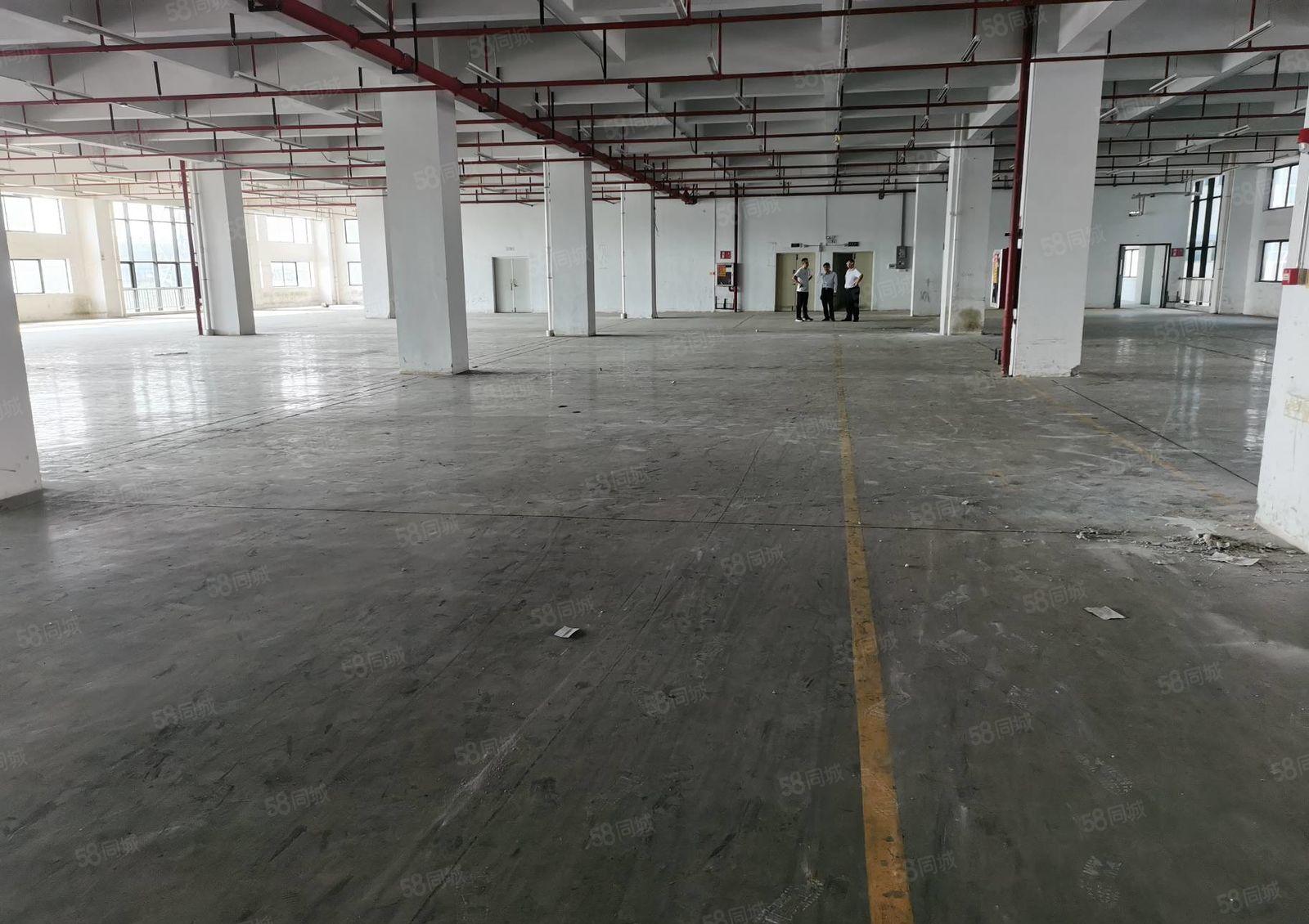 石岩原房东楼上500平至3500平低价仓库与厂房出租，形象好