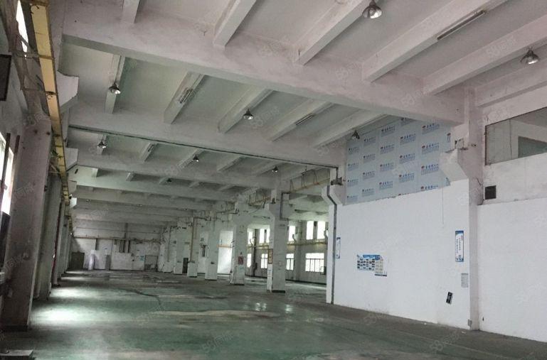 107国道边高7米2300平原房东厂房出租，园有带绿化，鱼池