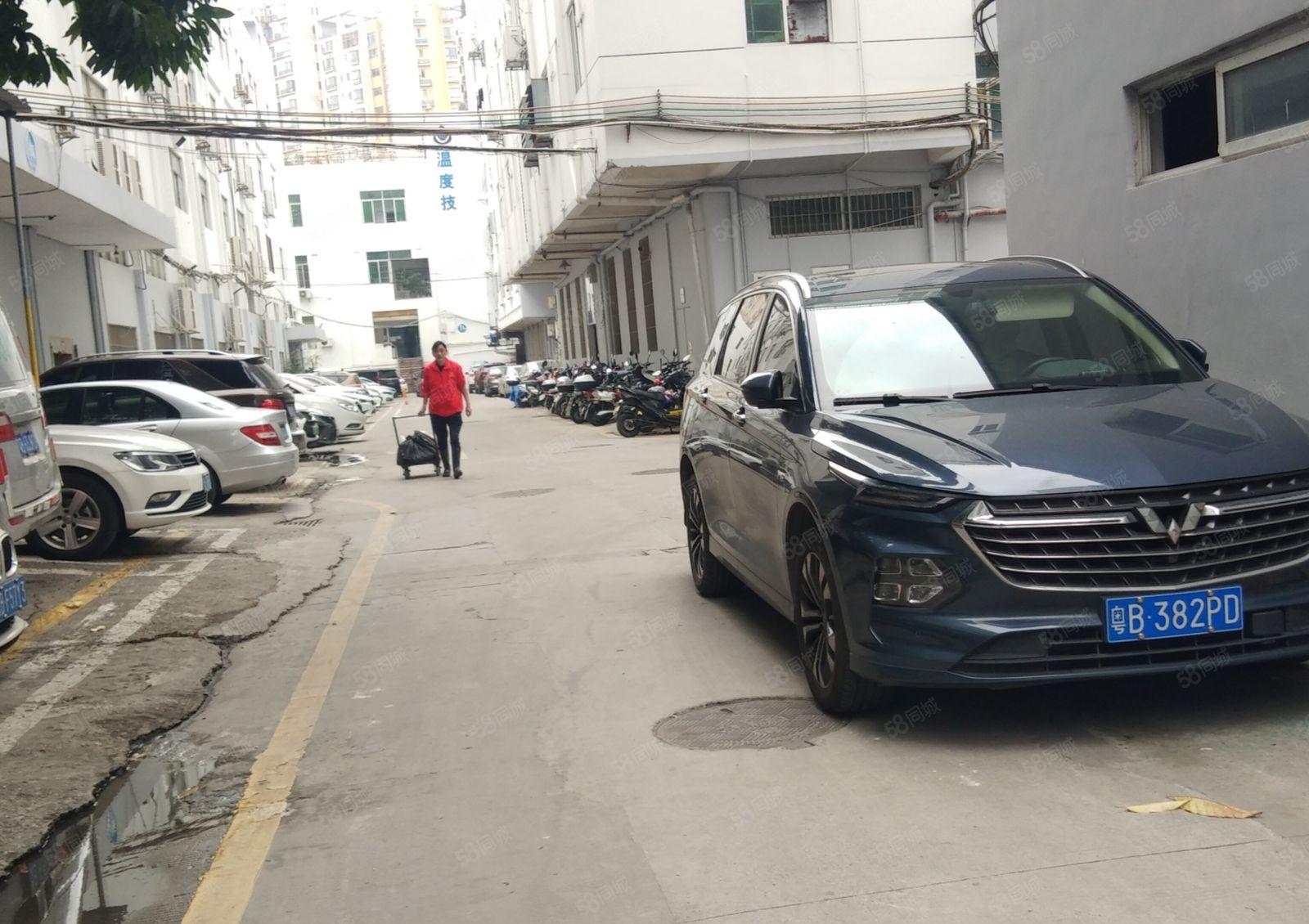 西乡鹤州原房东一楼267平