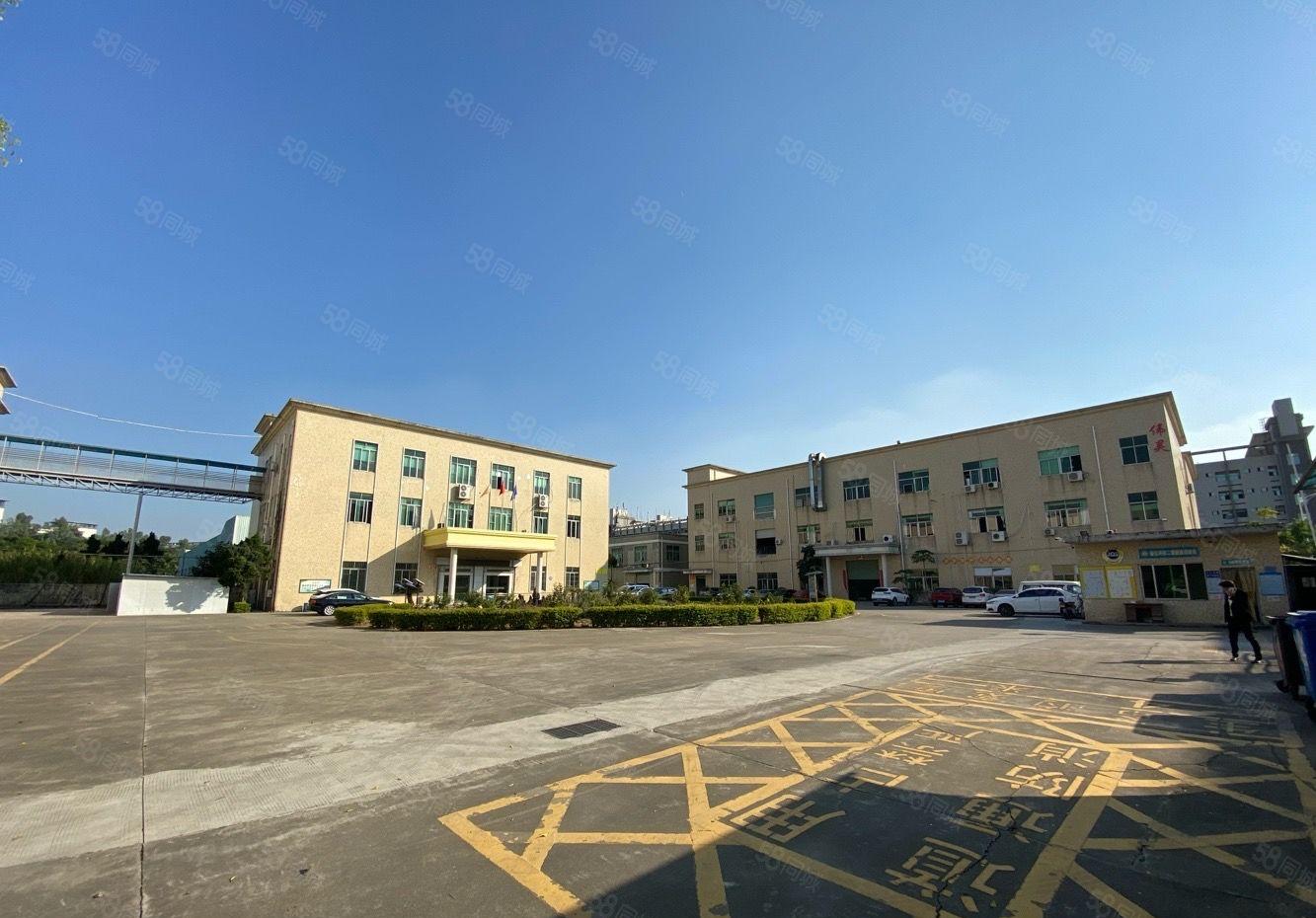 水电齐全石岩新出独院厂房楼上1600平精装办公厂房招租