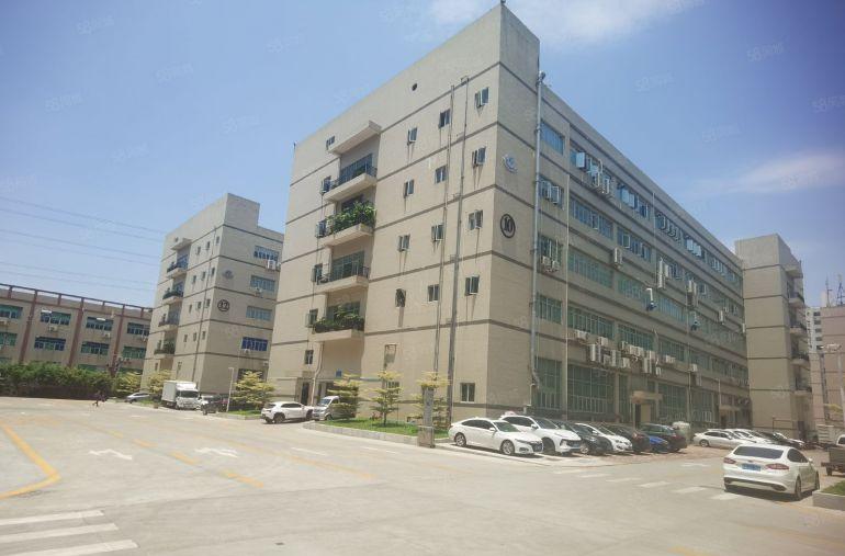 松岗200平起租精装600平办公研发电商仓库出租厂房出租