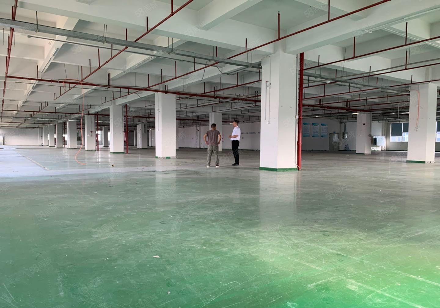 石岩塘头高速出口原房东厂房独门独院15700平方米