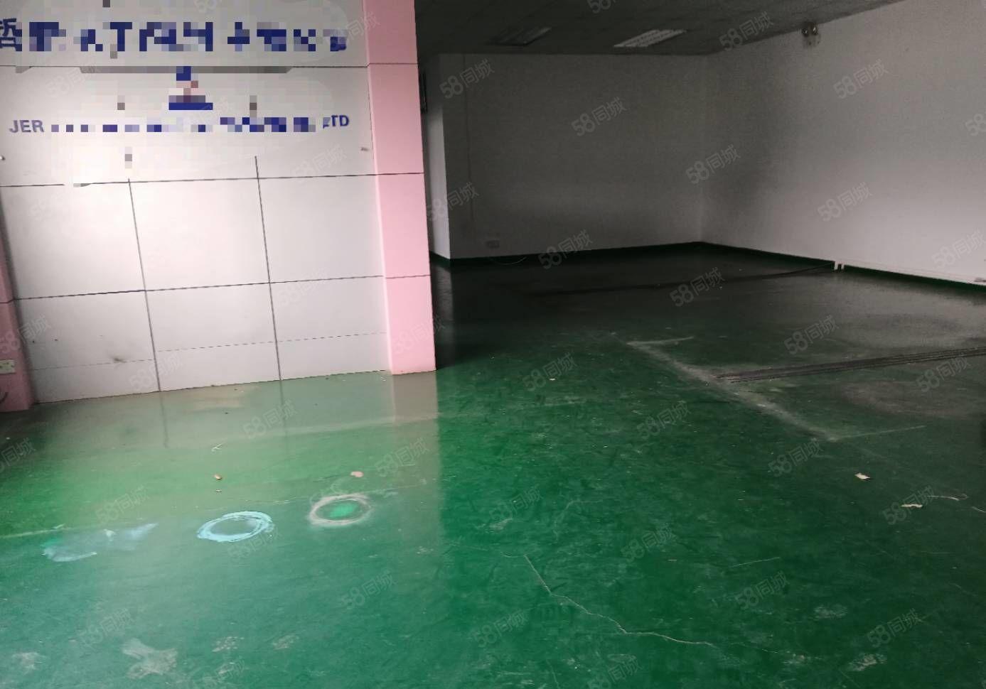 光明区西环大道边上新出厂房楼上实际面积出租1000平方现有装