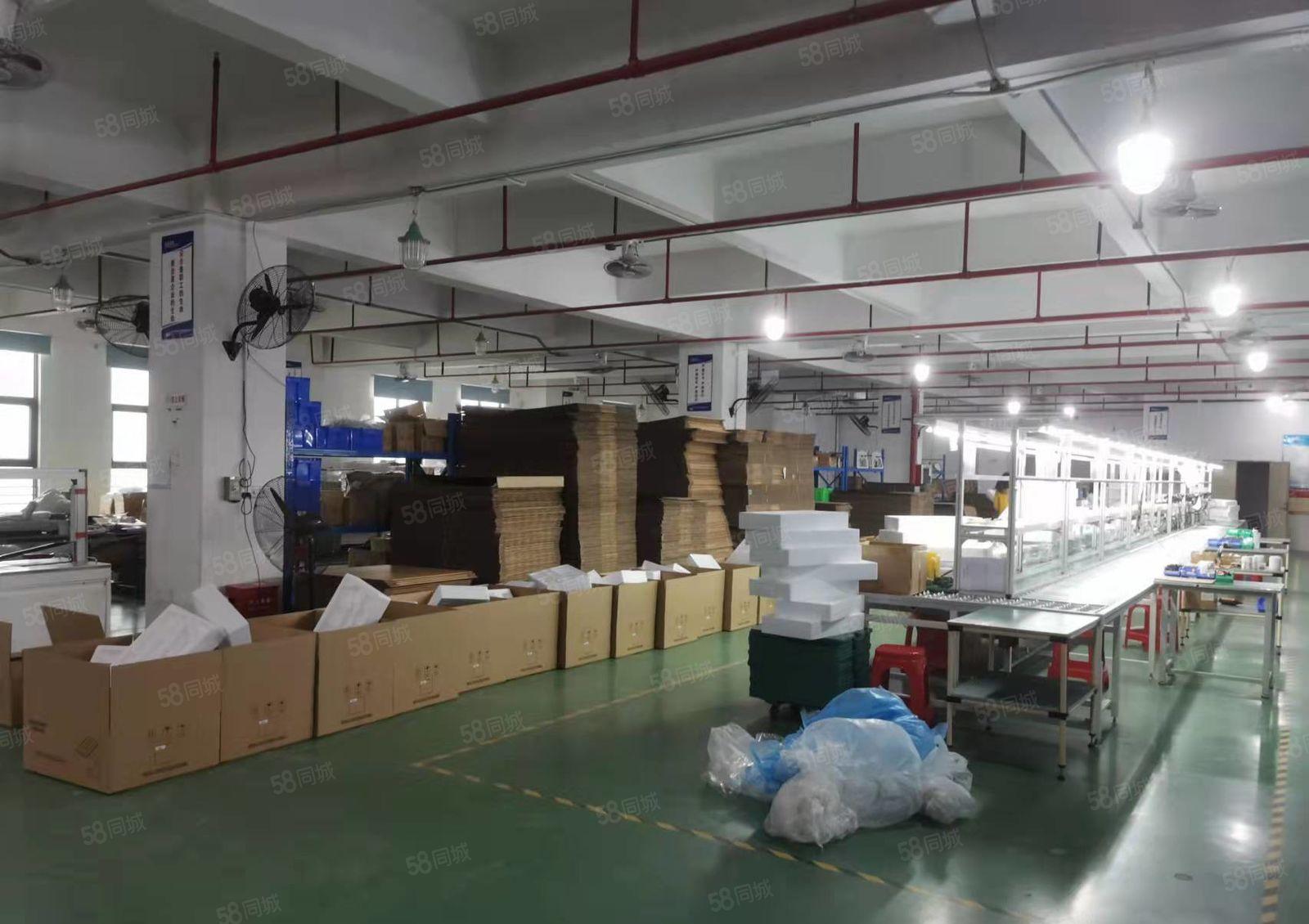 （出租）沙井马安山工业园区精装修2000平厂房出租原房东红本