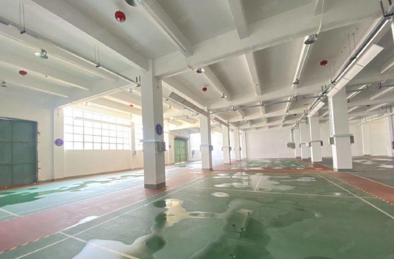 低价村委厂房 西乡固戍8000平方精装修高新园区地铁口空地大