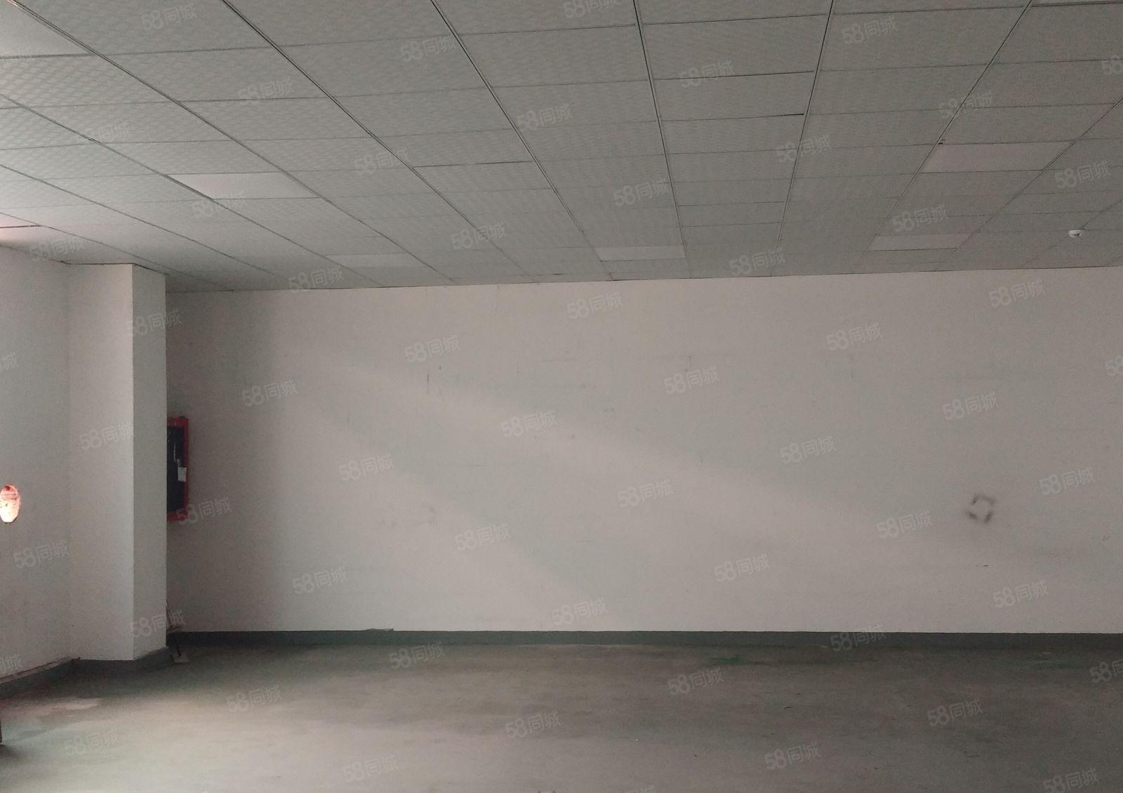 西乡鹤州洲石路边园区楼上精装修900平，现成水电天花吊顶