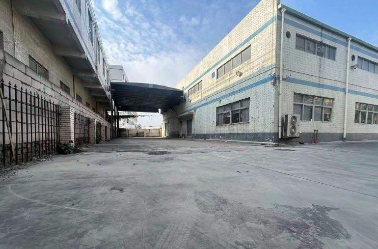 沙井独院单一层厂房出租2500平4000平6500平喷淋厂房