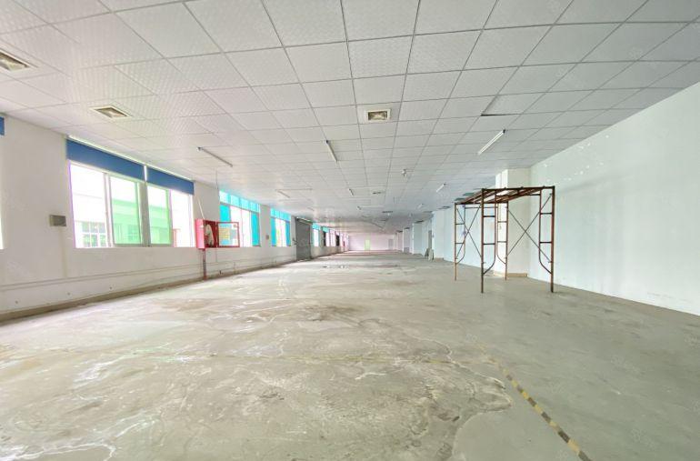 松岗燕罗塘下涌5万平方花园式厂房出租200平方起分租带精装修