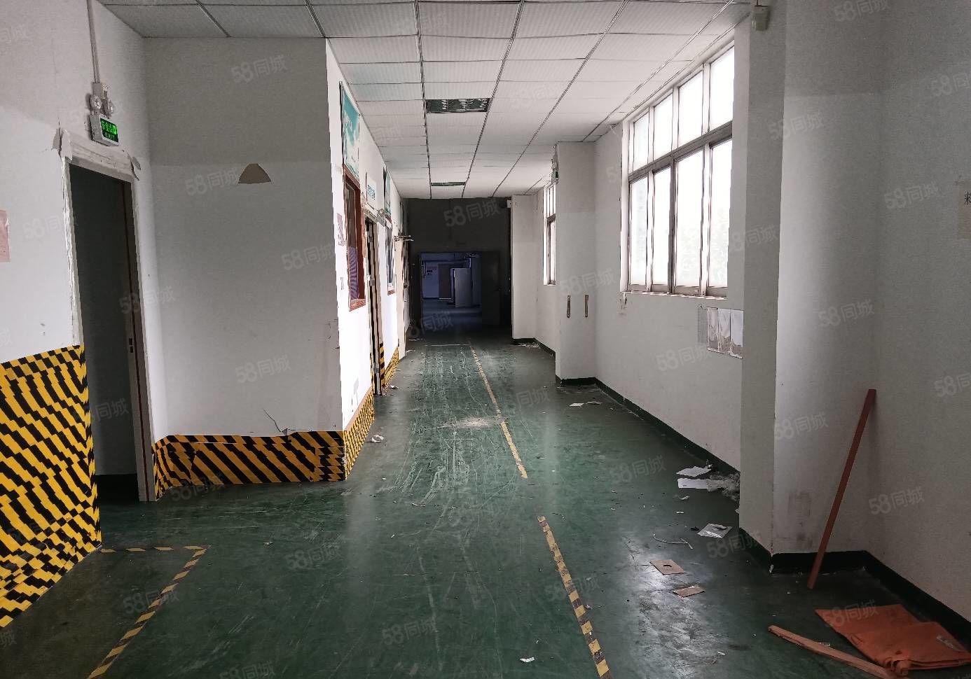 光明区西环大道边上新出厂房楼上实际面积出租1000平方现有装