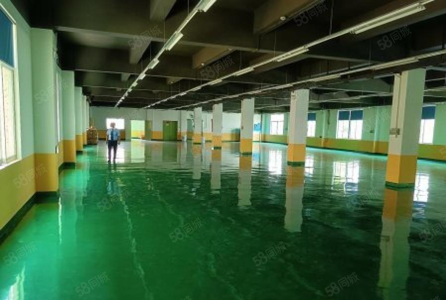 空地超大石岩新空出原房东园区厂房一楼380平出租形象好