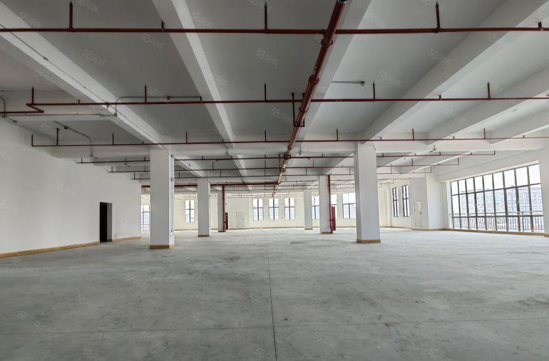 石岩靠南山原房东全新红本低价厂房出租2000平仓库出租可分租