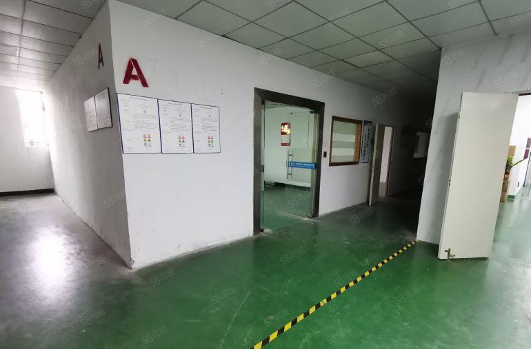 西乡380平桃源居地铁站附近厂房出租